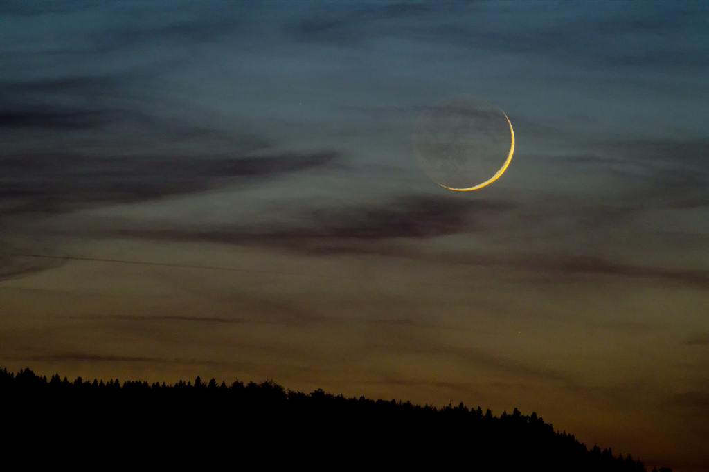 30420774390_c50d7ddbd5_b